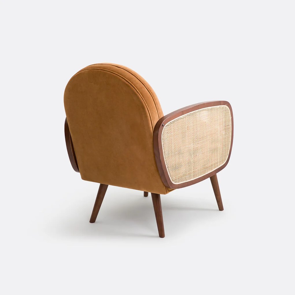 Fauteuil fluweel, Buisseau