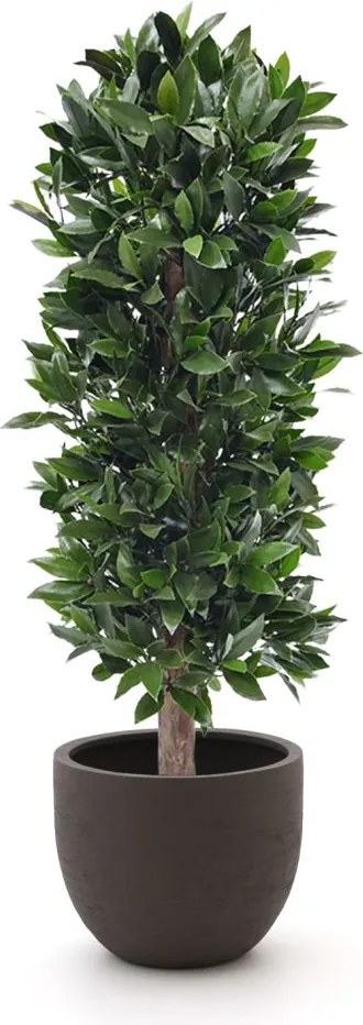 Kunstplant Designplants Luca Lifestyle | Groen Kunststof  | Inclusief bloempot | Kees Smit Tuinmeubelen