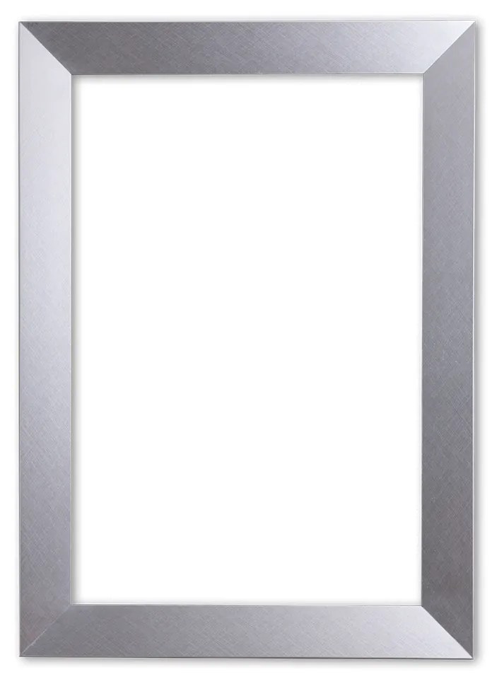 Moderne Lijst 40x60 cm Zilver - Ellie