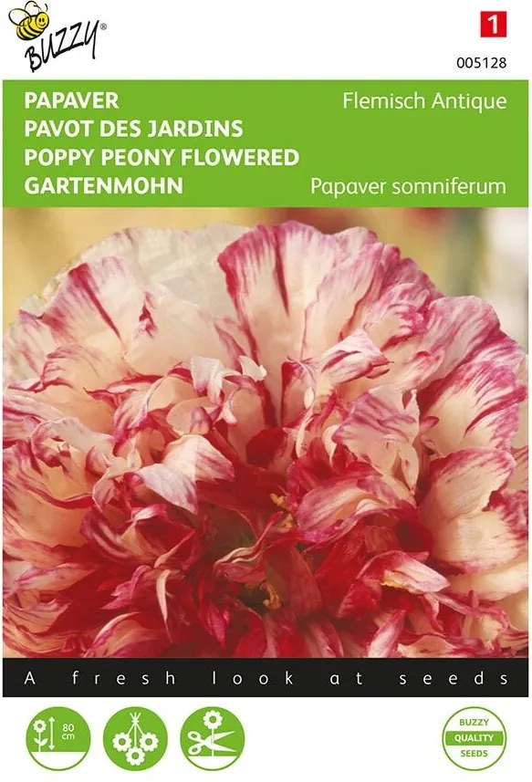 Buzzy seeds bloemzaden - Papaver Slaapbol  - Flemish Antique