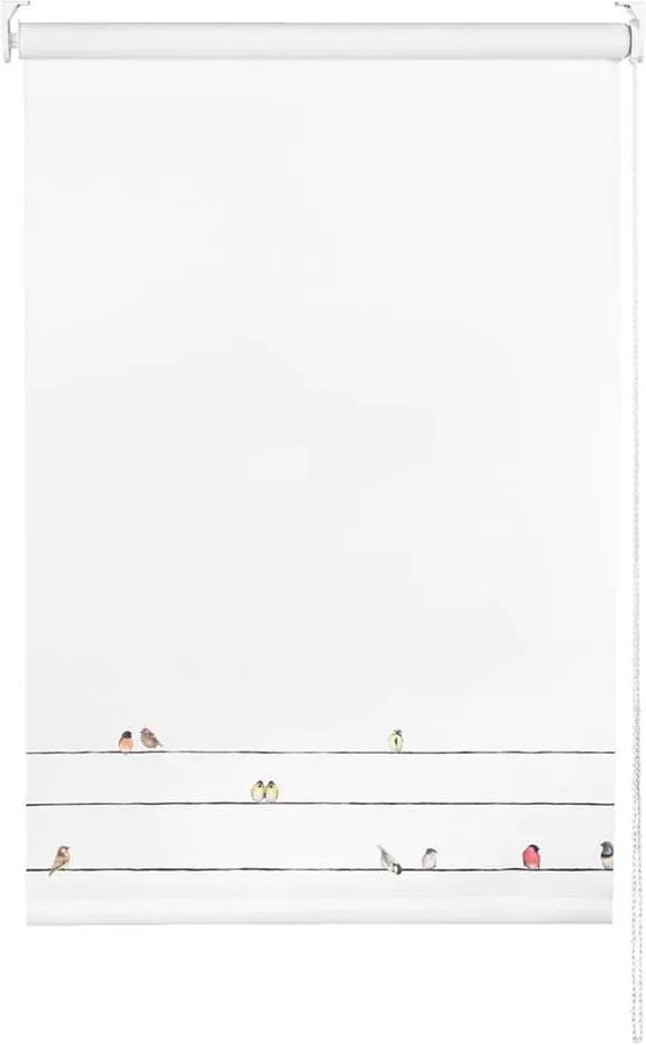 Rolgordijn verduisterend - vogels/wit - 60x190 cm - Leen Bakker