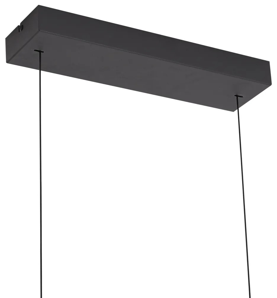 Moderne hanglamp zwart met smoke glas incl. LED easylift - Catch