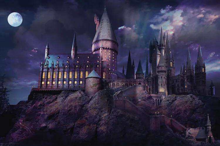 Kunstafdruk Harry Potter - Hogwarts night, (40 x 26.7 cm)