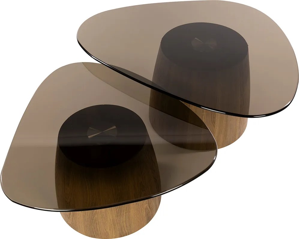 Driehoekige Salontafelset Met Rookglas - 91 X 75cm.