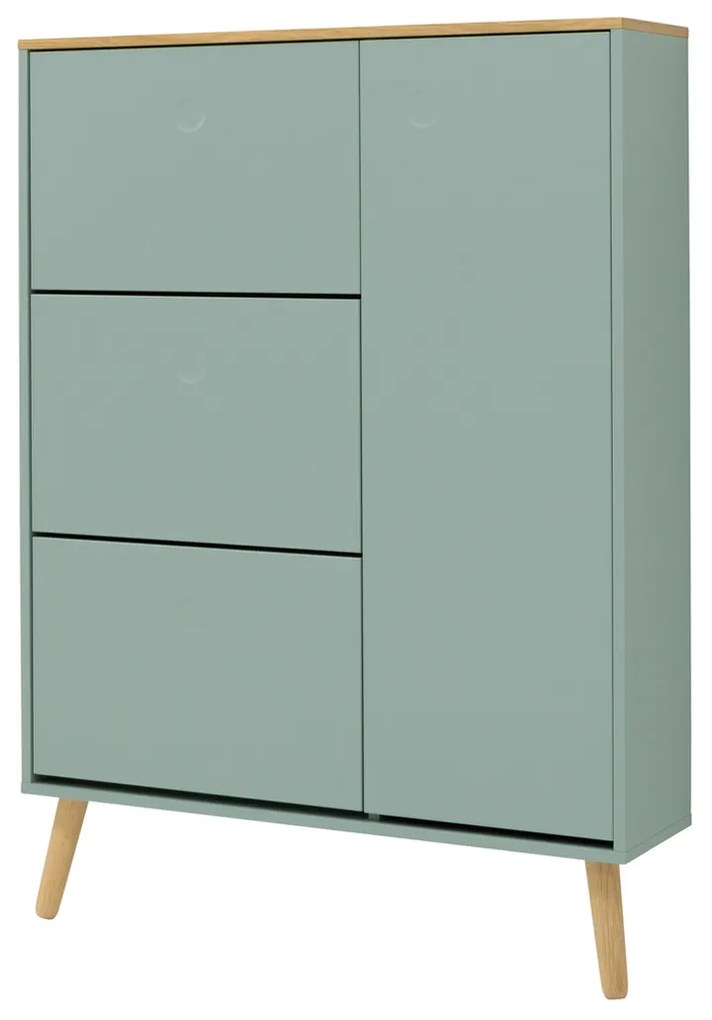 Tenzo Dot Grote Schoenenkast Mat Groen - 94x24x128cm.