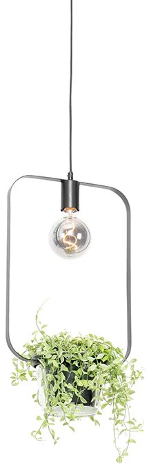 Moderne hanglamp zwart met glas rechthoekig - Roslini