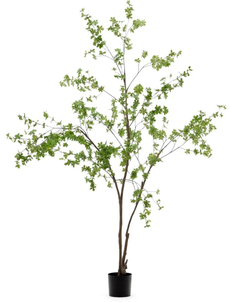 Kave Home Enkianthus Grote Enkianthus Kunstboom 214 Cm