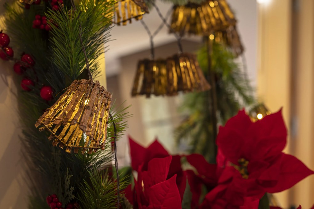 Kerst buiten lichtsnoer 3,3m incl. LED 10-lichts - Carina IP44 Buitenverlichting