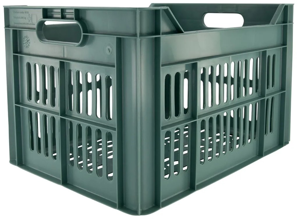HEMA Fietskrat Recycled 30L Groen