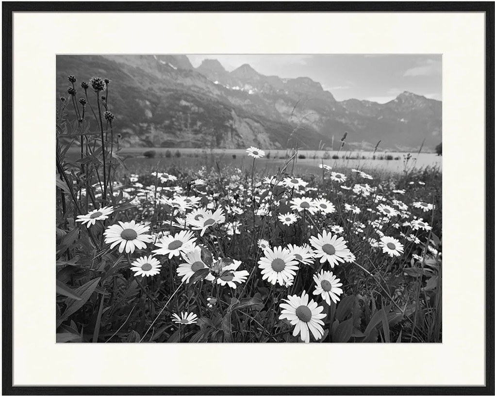 Ingelijste digitale print Alpine Meadow