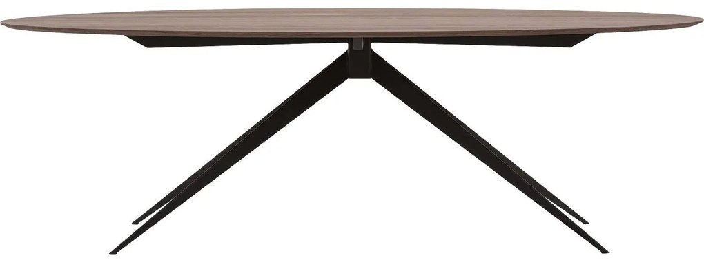 Goossens Excellent Eettafel Uniek, Ovaal 240 x 120 cm