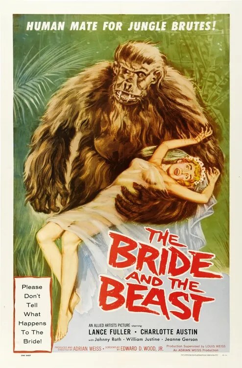 Ilustratie Bride And Beast