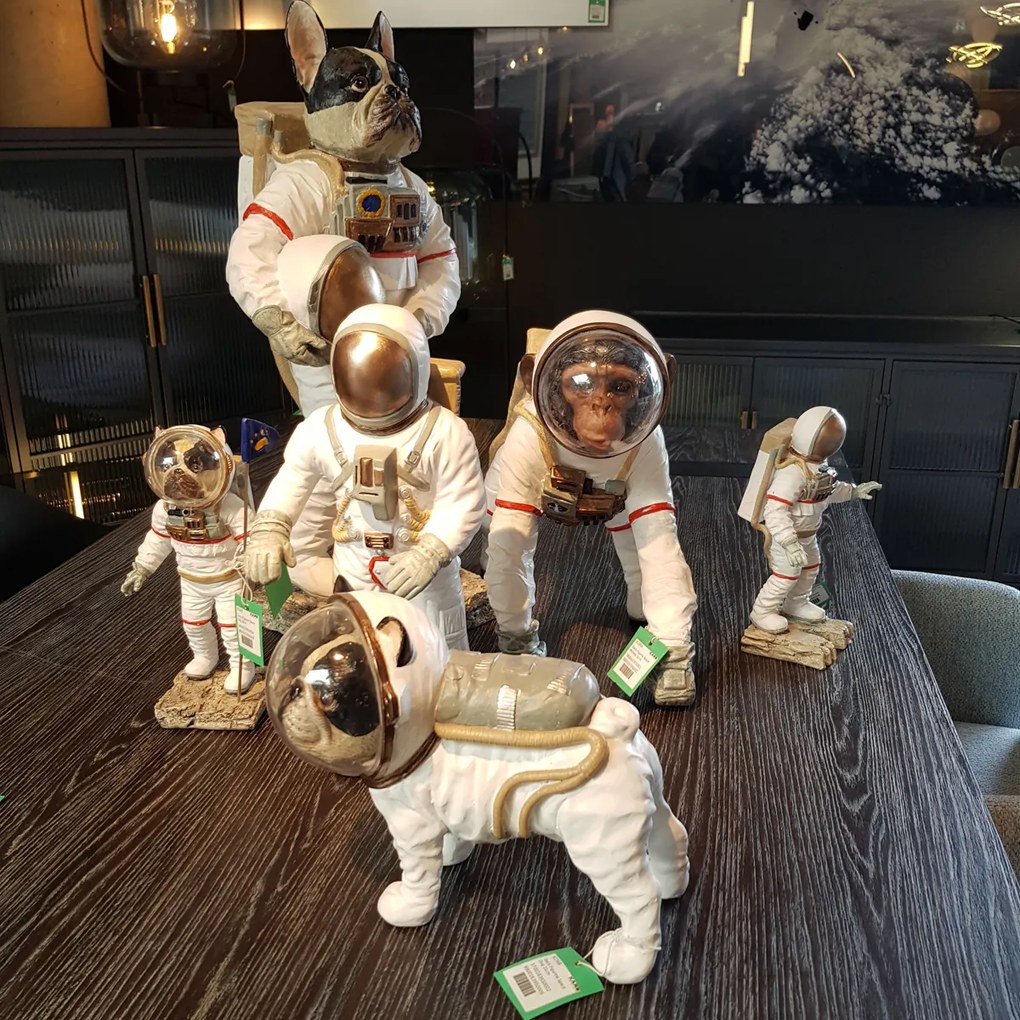 Ruimtevaarder Hond