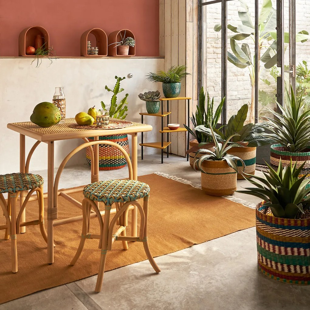 Multicolor mand in herbarium, Saski