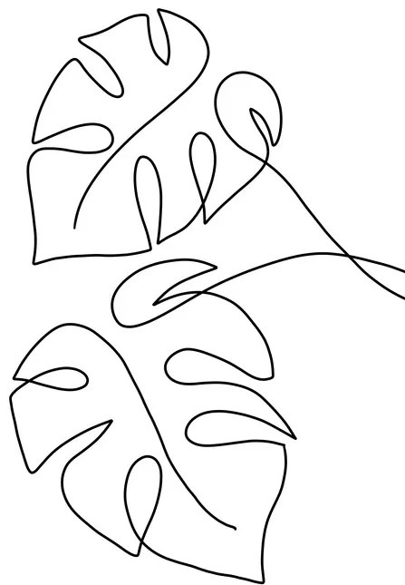 Ilustratie Monstera line art, Veronika Boulová