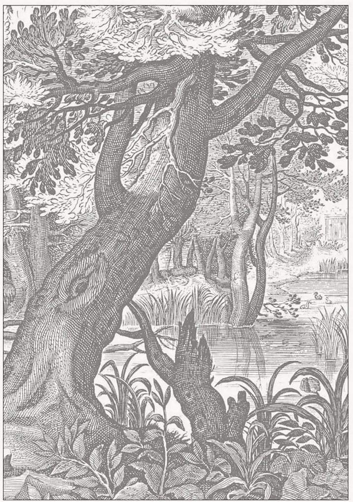 Vliesbehang Engraved Landscapes