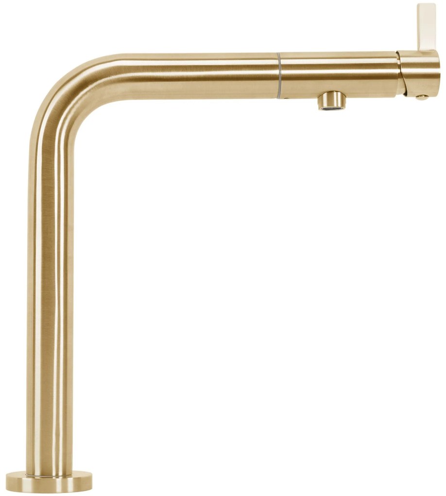Keukenkraan REA COLE Gold Brush