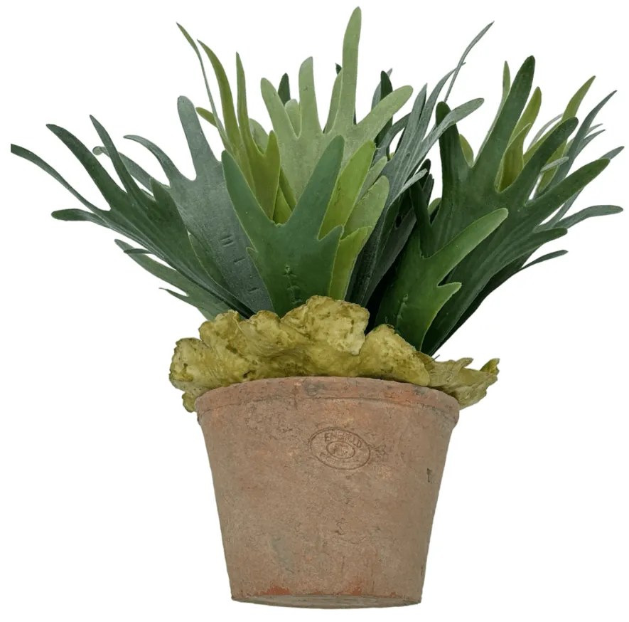 Hertshoornvaren Kunstplant inclusief pot - 30 cm