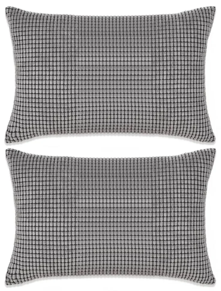 vidaXL Sierkussenset 40x60 cm velours grijs 2-delig