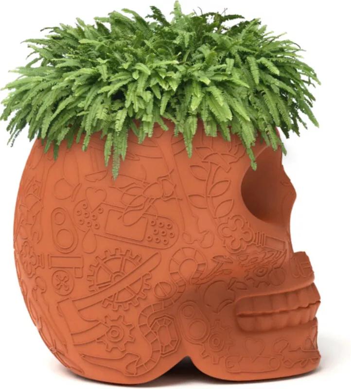 Mexico plantenbak