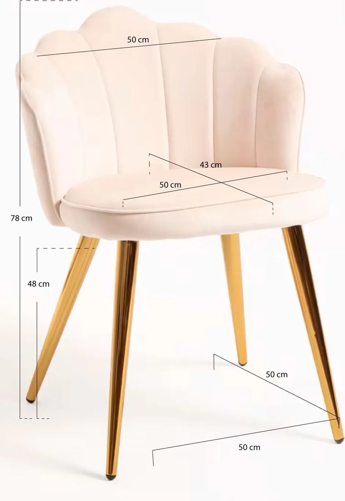 Blume Goud Fluwelen Stoel