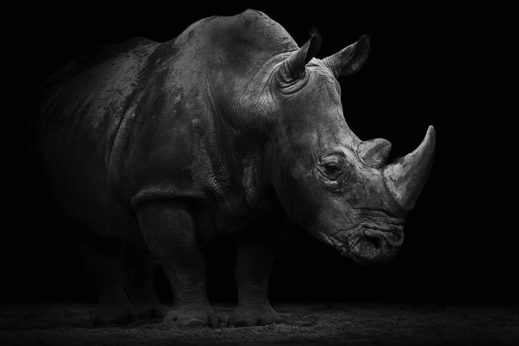 Goossens Schilderij Portrait Of A Rhino, Dibond 150x100cm