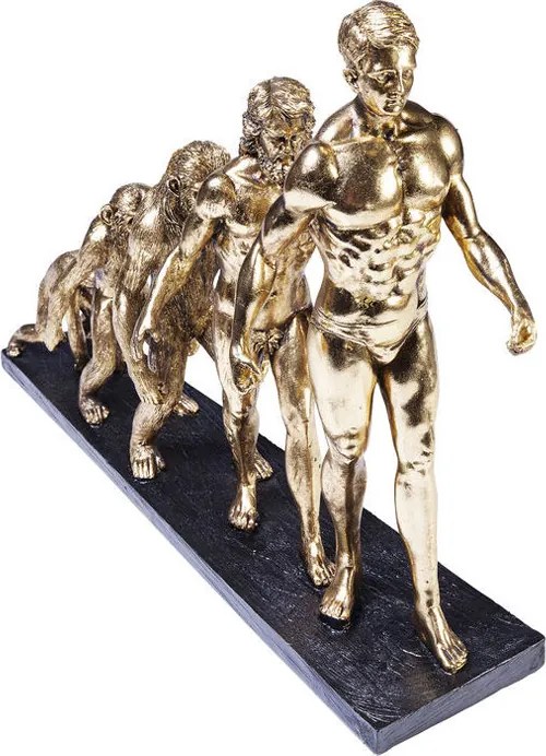 Sculptuur Evolutie