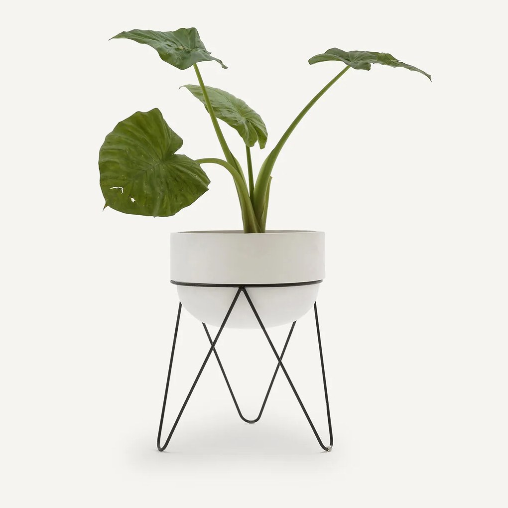 Bloempot H54 cm, Plantae