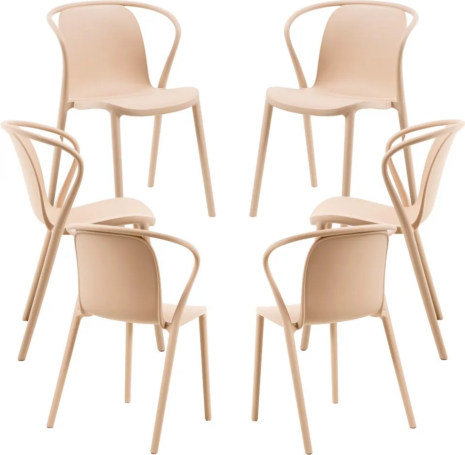 Set 6 Zotli Stoelen