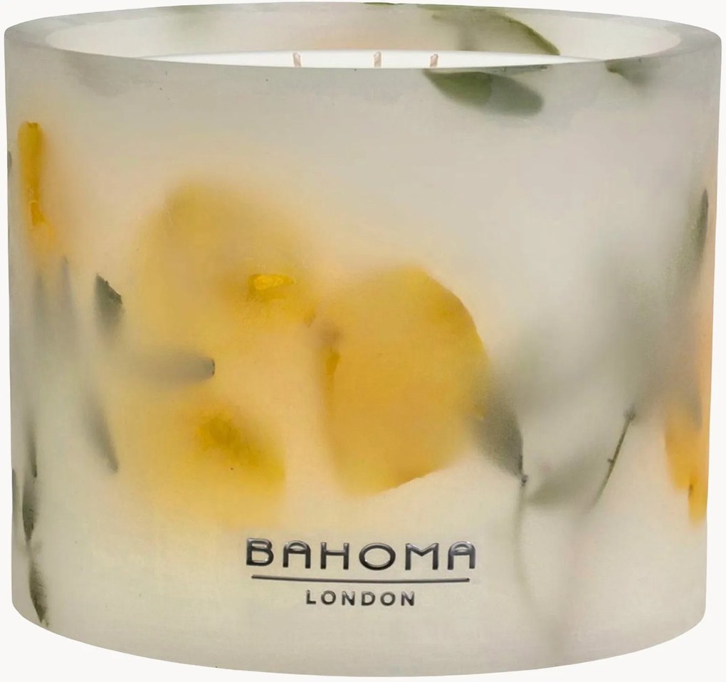 Met de hand gegoten 3-lonts geurkaars Botanica (citrus, muskus, dennen)