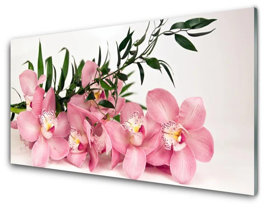 Glas foto Orchideebloemen spa 100x50 cm