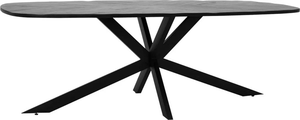 Ovale Eettafel Zwart Mango 200x100 Cm - 200 X 110cm.