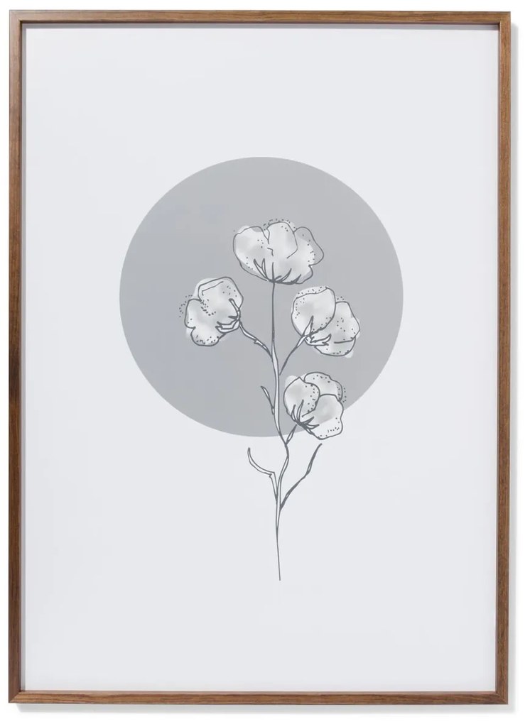 HEMA Fotolijst Massief Notenhout 50x70 (hout)