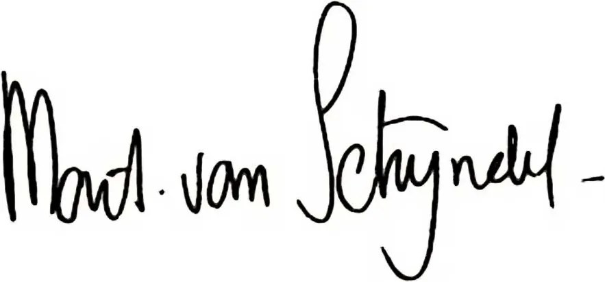 Mart van Schijndel - Delta Vaas