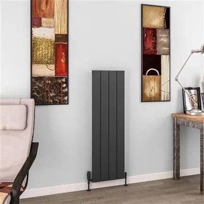 Eastbrook Charlton radiator 35x120cm aluminium 775W antraciet