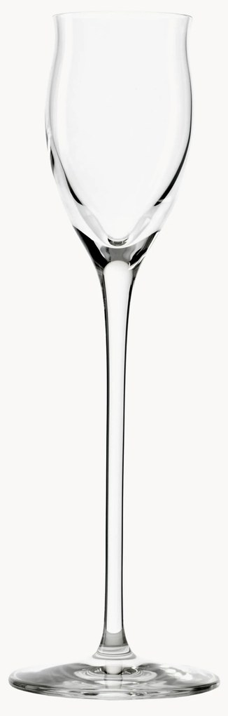 Borrelglaasjes Quatrophil, 6 stuks