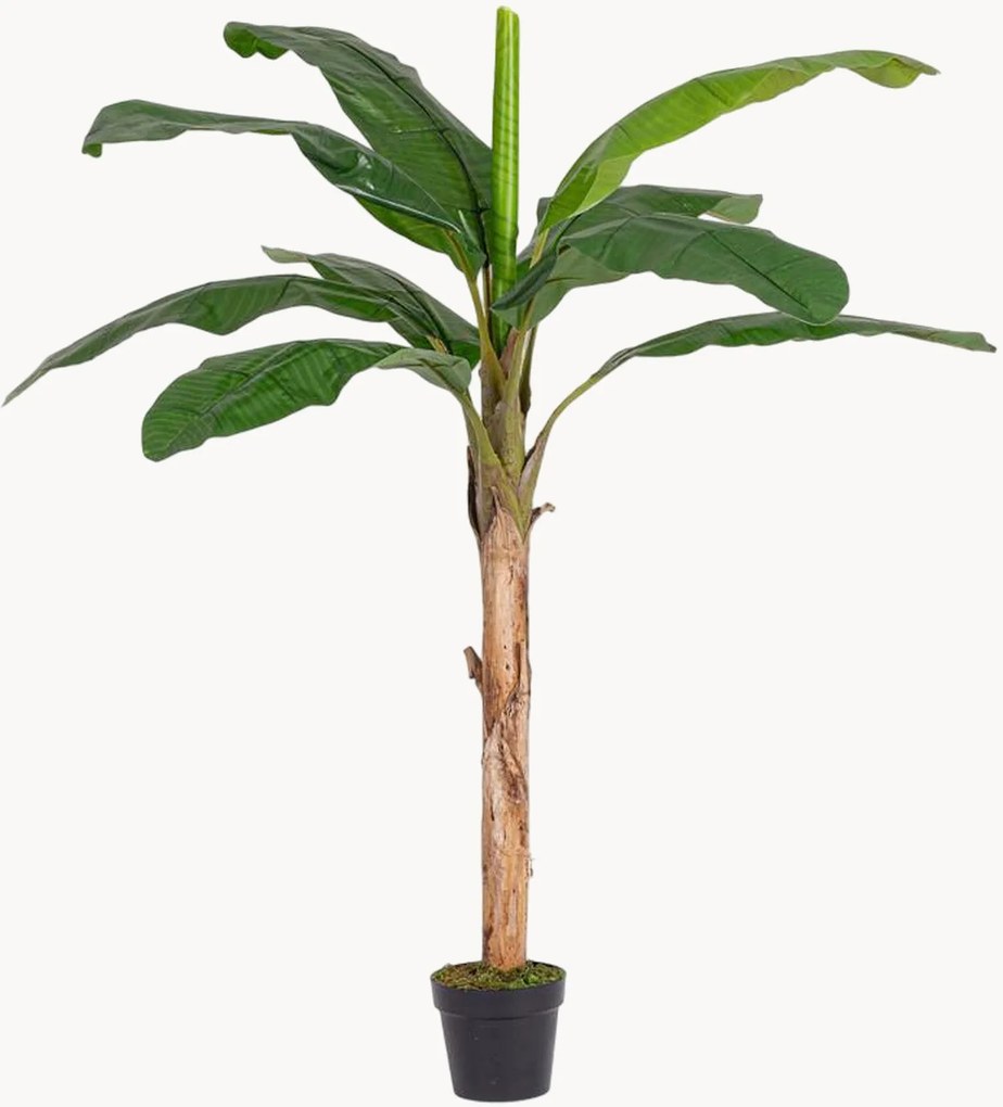 Outdoor kunstplant Banana, H 180 cm