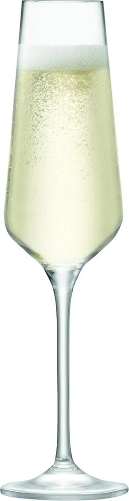 L.S.A. | Horeca Champagneglas transparant drinkglazen glas glaswerk koken & tafelen | NADUVI outlet