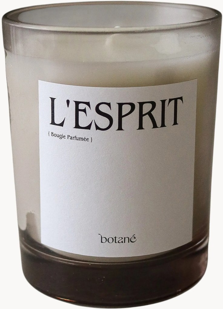 Geurkaars L'esprit (dennennaalden, cederhout, wierook & groene planten)