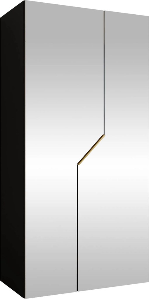 Kledingkast Hartford 600, Gouden, Zwart, 202x100x52cm, 67.3 kg, Kledingkast deuren: Met scharnieren