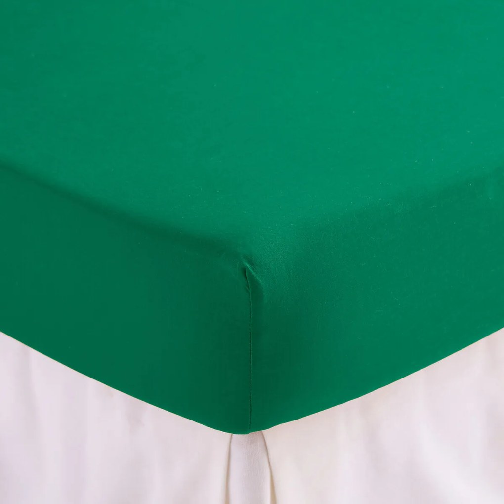 Effen hoeslaken in gewassen katoen, omslag 30 cm, Scenario