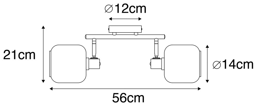 Plafondspot zwart met goud met smoke glas 2-lichts - Zuzanna