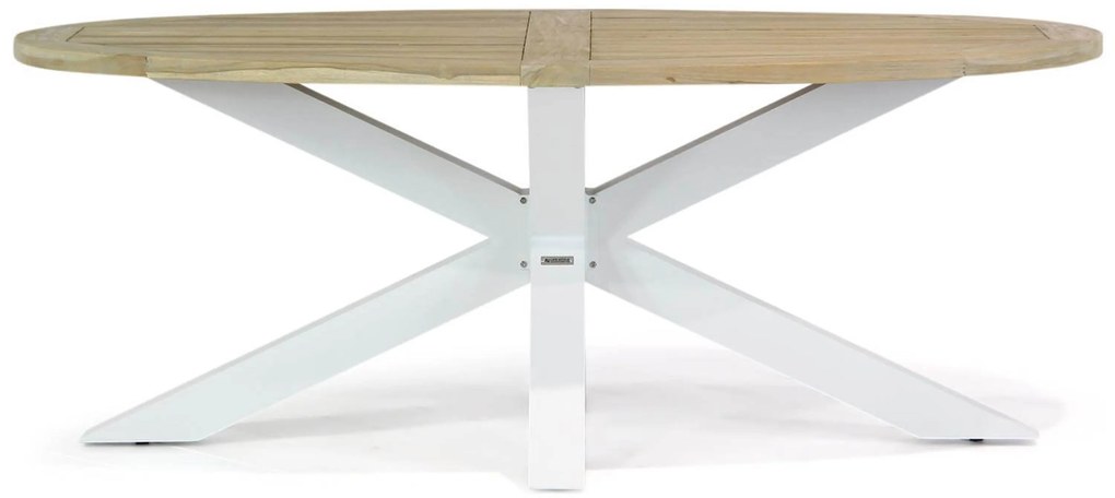 Dining Tuintafel ovaal 200 cm x 110 cm Teak Wit Bradford