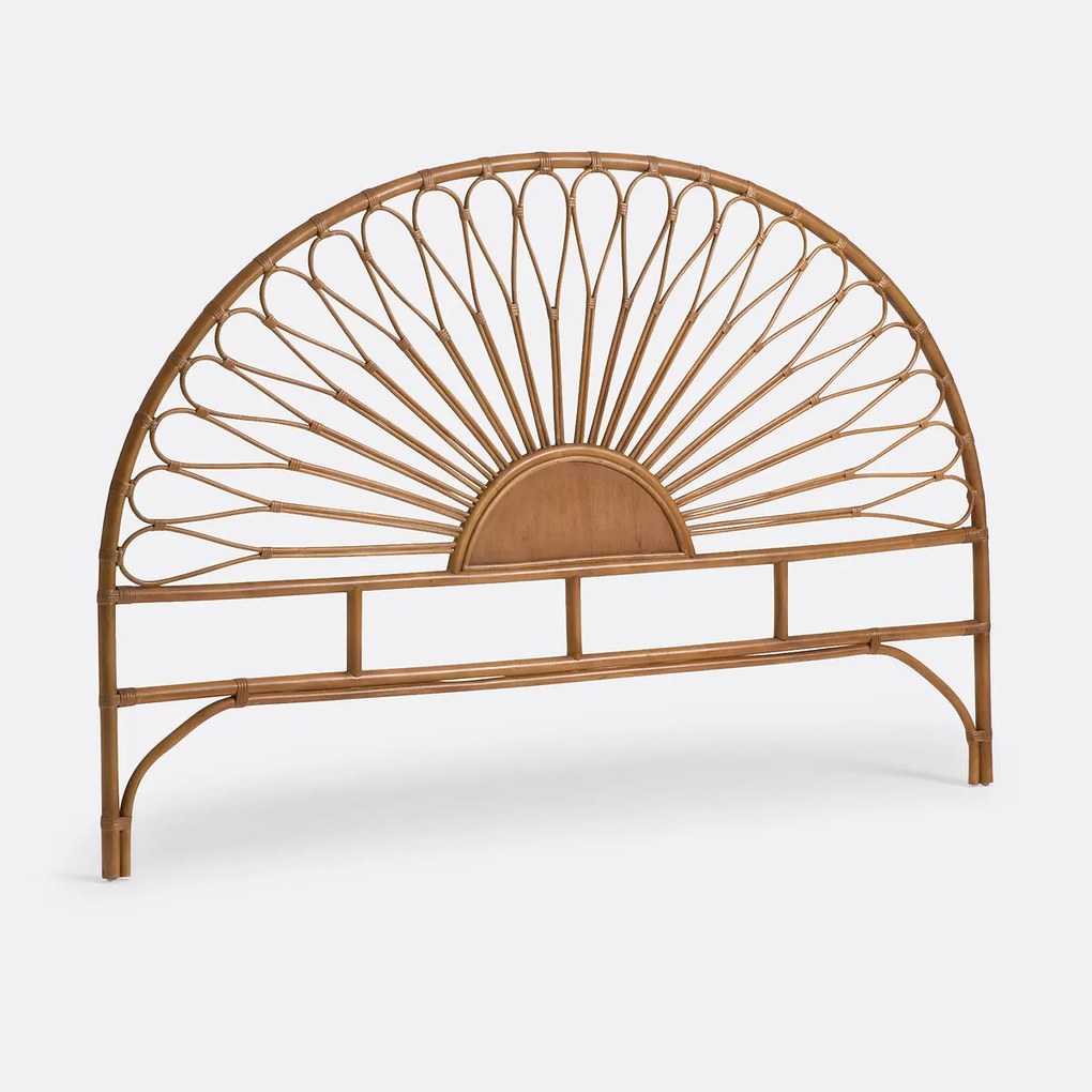 Rotan hoofdbord, TIO