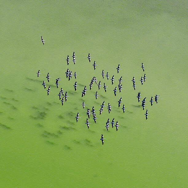 Kunstfotografie Lake Eyre Aerial Image, Ignacio Palacios, (40 x 40 cm)