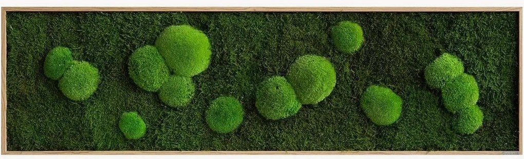 Handgemaakte mos- en bolmoswandprint Wild, ingelijst