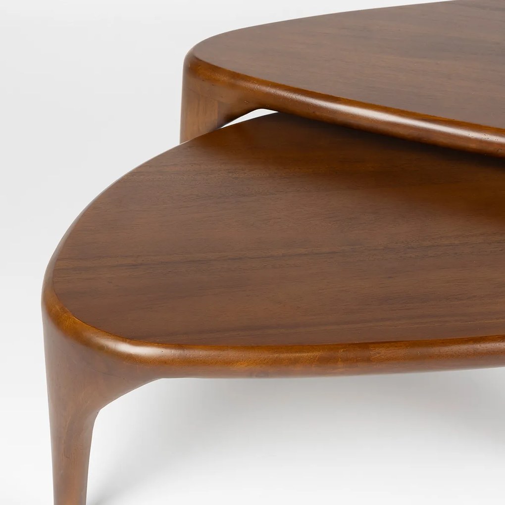 Zuiver Isla Walnut Design Salontafel Set Walnoot Hout - 110 X 60cm.