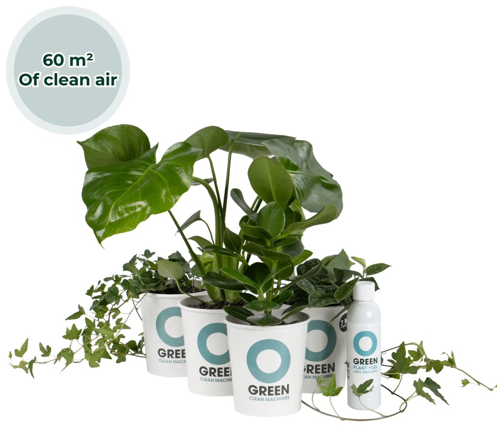 Ogreen Musthaves