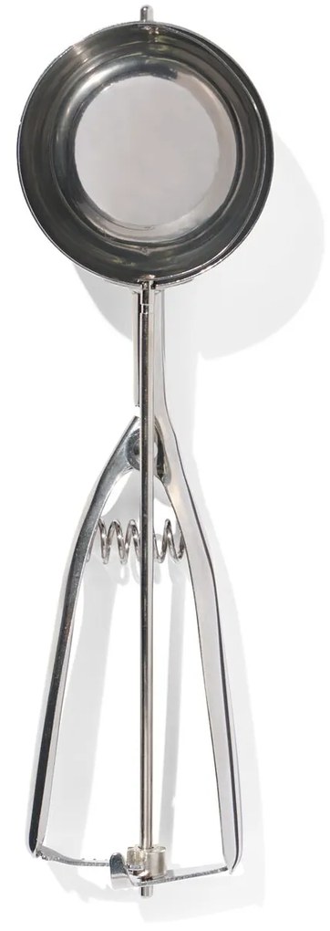 HEMA Olieboltang Ijsschep Rvs 7cm