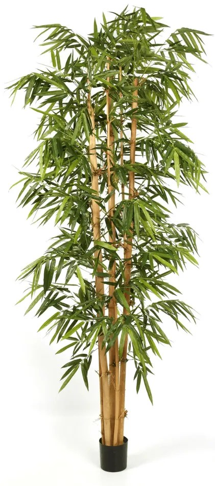Kunst Bamboe New Giant - 270 cm
